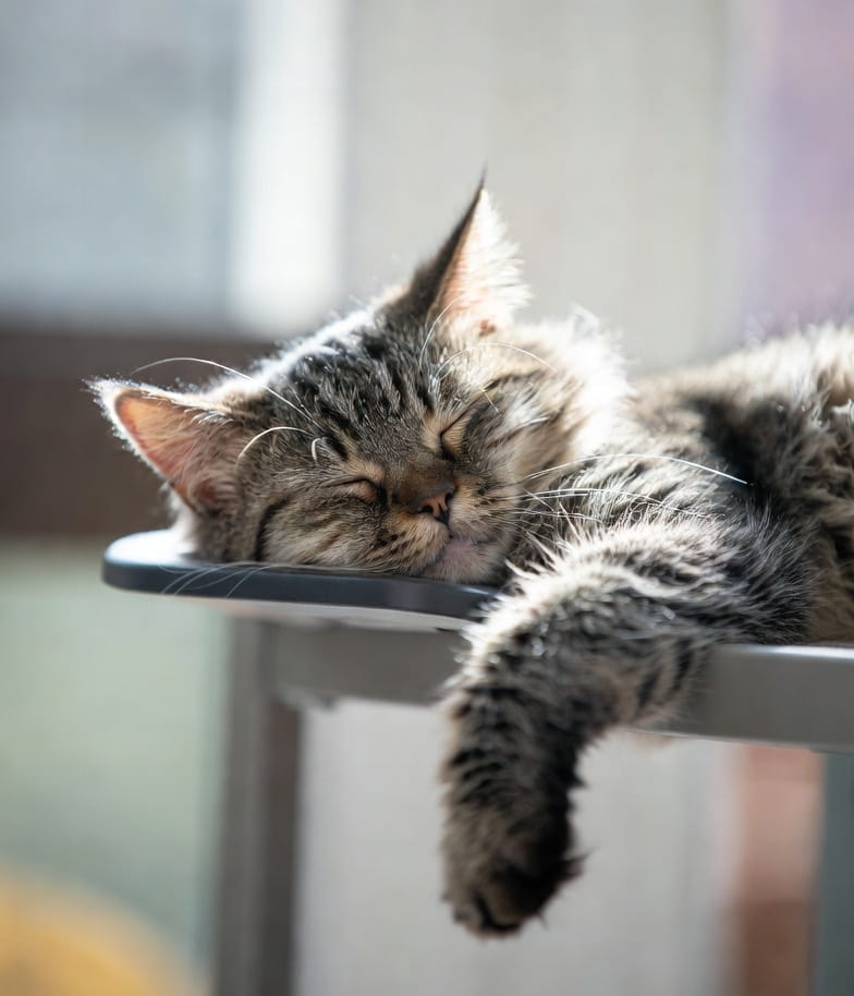 Время отдыха Время отдыха